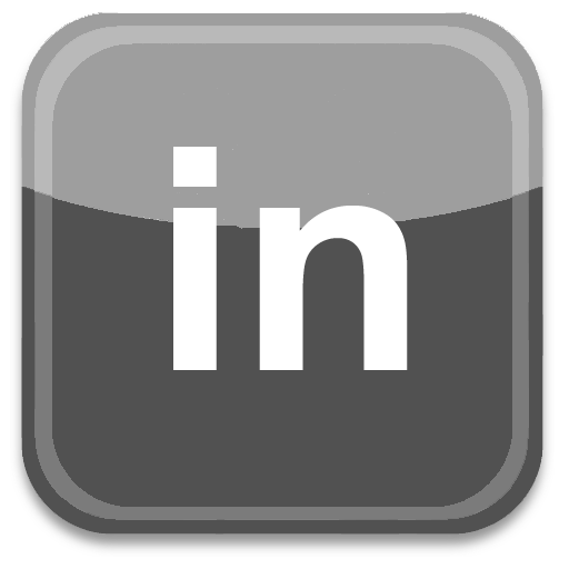 linkedinCinza.png